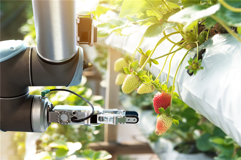 What Future Agriculture for the Middle East? AgriTech Innovations Middle East Agriculture